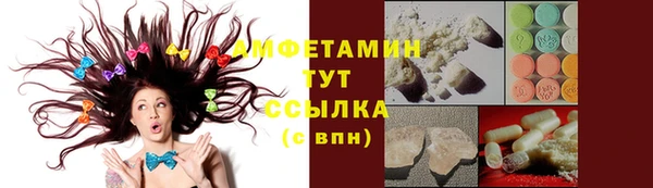 дмт Аркадак