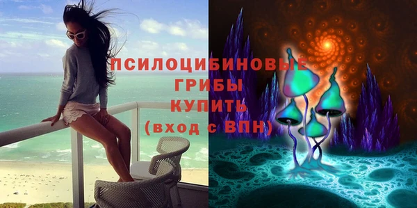 дмт Аркадак